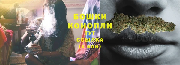 PSILOCYBIN Бронницы